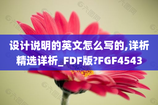 设计说明的英文怎么写的,详析精选详析_FDF版?FGF4543