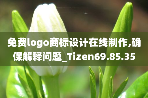 免费logo商标设计在线制作,确保解释问题_Tizen69.85.35