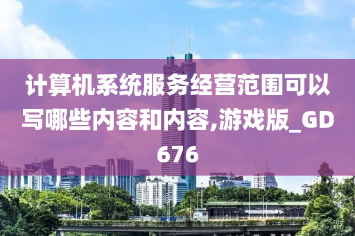 计算机系统服务经营范围可以写哪些内容和内容,游戏版_GD676