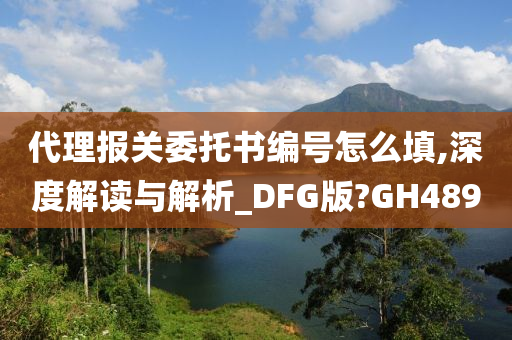 代理报关委托书编号怎么填,深度解读与解析_DFG版?GH489