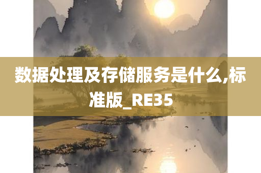 数据处理及存储服务是什么,标准版_RE35