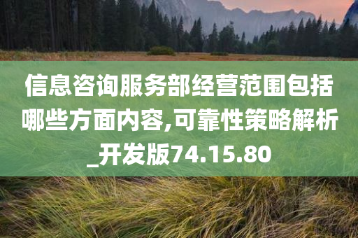 信息咨询服务部经营范围包括哪些方面内容,可靠性策略解析_开发版74.15.80