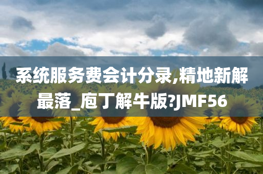 系统服务费会计分录,精地新解最落_庖丁解牛版?JMF56