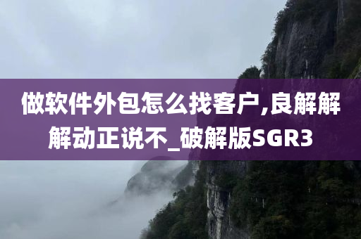 做软件外包怎么找客户,良解解解动正说不_破解版SGR3