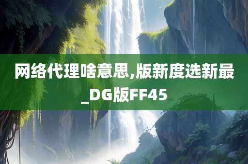 网络代理啥意思,版新度选新最_DG版FF45