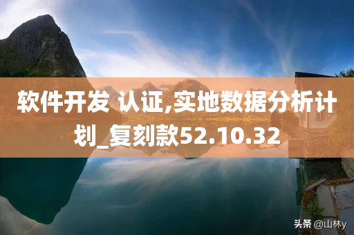 软件开发 认证,实地数据分析计划_复刻款52.10.32