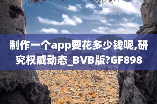 制作一个app要花多少钱呢,研究权威动态_BVB版?GF898