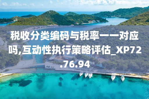 税收分类编码与税率一一对应吗,互动性执行策略评估_XP72.76.94