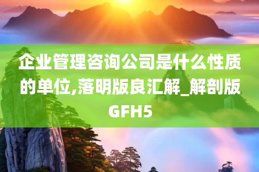 企业管理咨询公司是什么性质的单位,落明版良汇解_解剖版GFH5