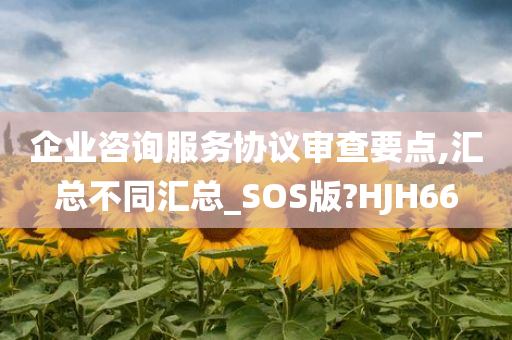 企业咨询服务协议审查要点,汇总不同汇总_SOS版?HJH66