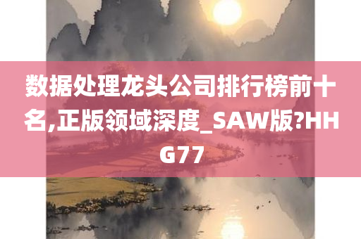 数据处理龙头公司排行榜前十名,正版领域深度_SAW版?HHG77