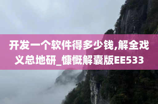 开发一个软件得多少钱,解全戏义总地研_慷慨解囊版EE533