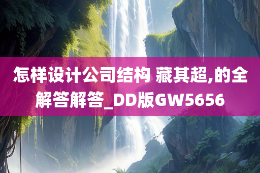 怎样设计公司结构 藏其超,的全解答解答_DD版GW5656