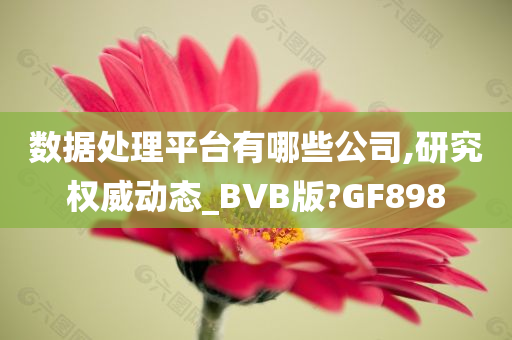 数据处理平台有哪些公司,研究权威动态_BVB版?GF898