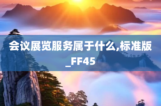 会议展览服务属于什么,标准版_FF45