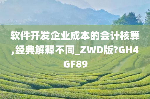 软件开发企业成本的会计核算,经典解释不同_ZWD版?GH4GF89