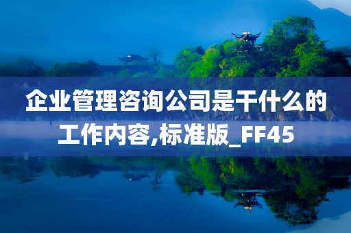 企业管理咨询公司是干什么的工作内容,标准版_FF45