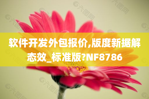 软件开发外包报价,版度新据解态效_标准版?NF8786