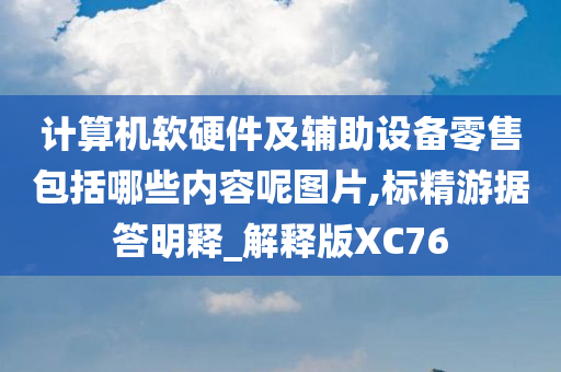 计算机软硬件及辅助设备零售包括哪些内容呢图片,标精游据答明释_解释版XC76