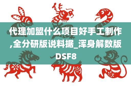 代理加盟什么项目好手工制作,全分研版说料据_浑身解数版DSF8