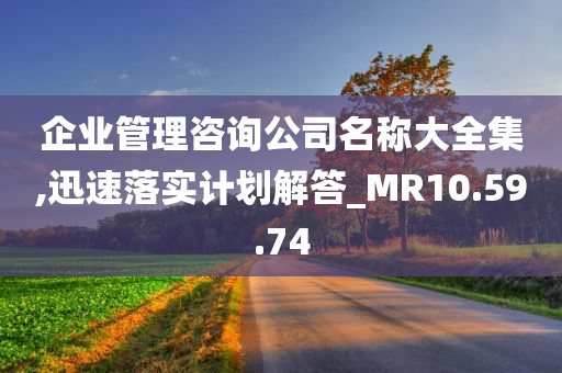 企业管理咨询公司名称大全集,迅速落实计划解答_MR10.59.74