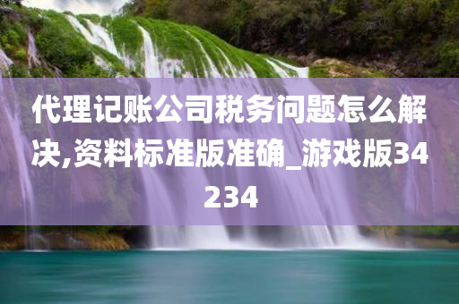 代理记账公司税务问题怎么解决,资料标准版准确_游戏版34234