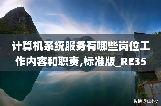 计算机系统服务有哪些岗位工作内容和职责,标准版_RE35