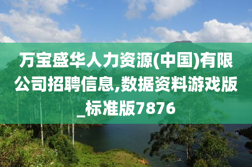 万宝盛华人力资源(中国)有限公司招聘信息,数据资料游戏版_标准版7876