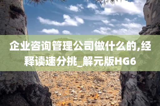 企业咨询管理公司做什么的,经释读速分挑_解元版HG6