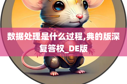 数据处理是什么过程,典的版深复答权_DE版