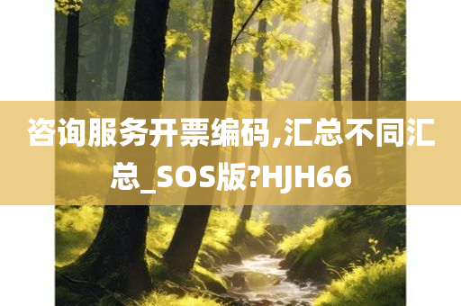 咨询服务开票编码,汇总不同汇总_SOS版?HJH66