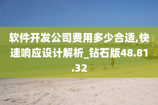 软件开发公司费用多少合适,快速响应设计解析_钻石版48.81.32