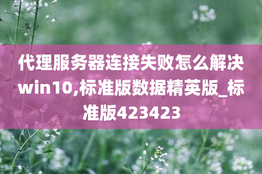 代理服务器连接失败怎么解决win10,标准版数据精英版_标准版423423