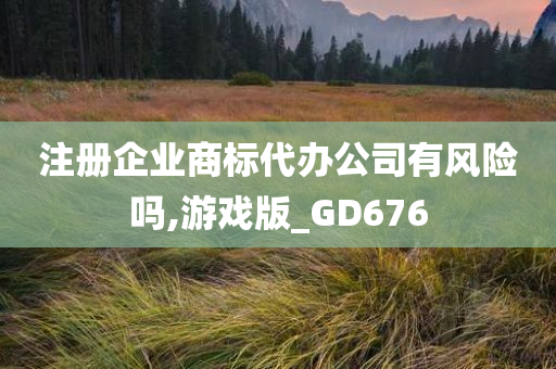 注册企业商标代办公司有风险吗,游戏版_GD676