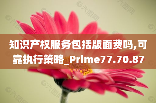 知识产权服务包括版面费吗,可靠执行策略_Prime77.70.87