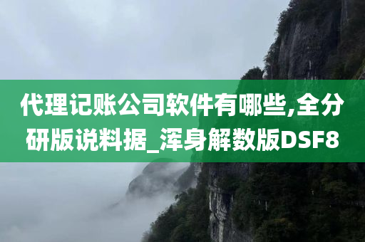 代理记账公司软件有哪些,全分研版说料据_浑身解数版DSF8