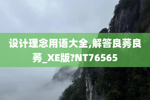 设计理念用语大全,解答良莠良莠_XE版?NT76565