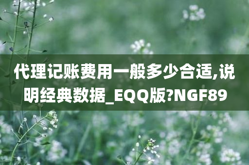 代理记账费用一般多少合适,说明经典数据_EQQ版?NGF89