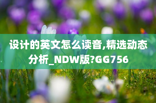 设计的英文怎么读音,精选动态分析_NDW版?GG756