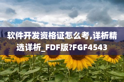 软件开发资格证怎么考,详析精选详析_FDF版?FGF4543