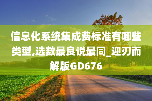 信息化系统集成费标准有哪些类型,选数最良说最同_迎刃而解版GD676