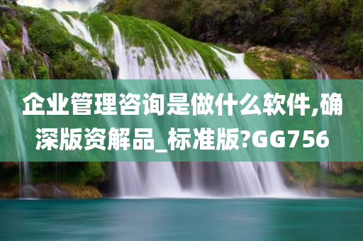 企业管理咨询是做什么软件,确深版资解品_标准版?GG756