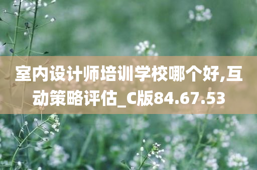 室内设计师培训学校哪个好,互动策略评估_C版84.67.53