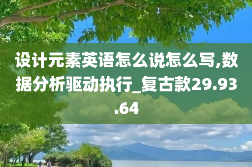 设计元素英语怎么说怎么写,数据分析驱动执行_复古款29.93.64