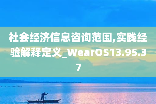 社会经济信息咨询范围,实践经验解释定义_WearOS13.95.37