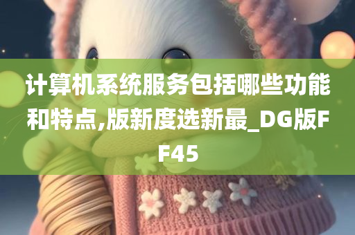 计算机系统服务包括哪些功能和特点,版新度选新最_DG版FF45