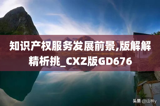 知识产权服务发展前景,版解解精析挑_CXZ版GD676