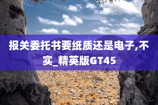 报关委托书要纸质还是电子,不实_精英版GT45