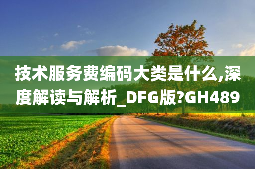 技术服务费编码大类是什么,深度解读与解析_DFG版?GH489