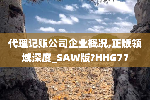 代理记账公司企业概况,正版领域深度_SAW版?HHG77